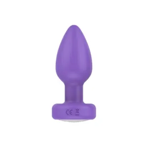 Pr17: VIBRATING PLUG W/ REMOTE - PURPLE